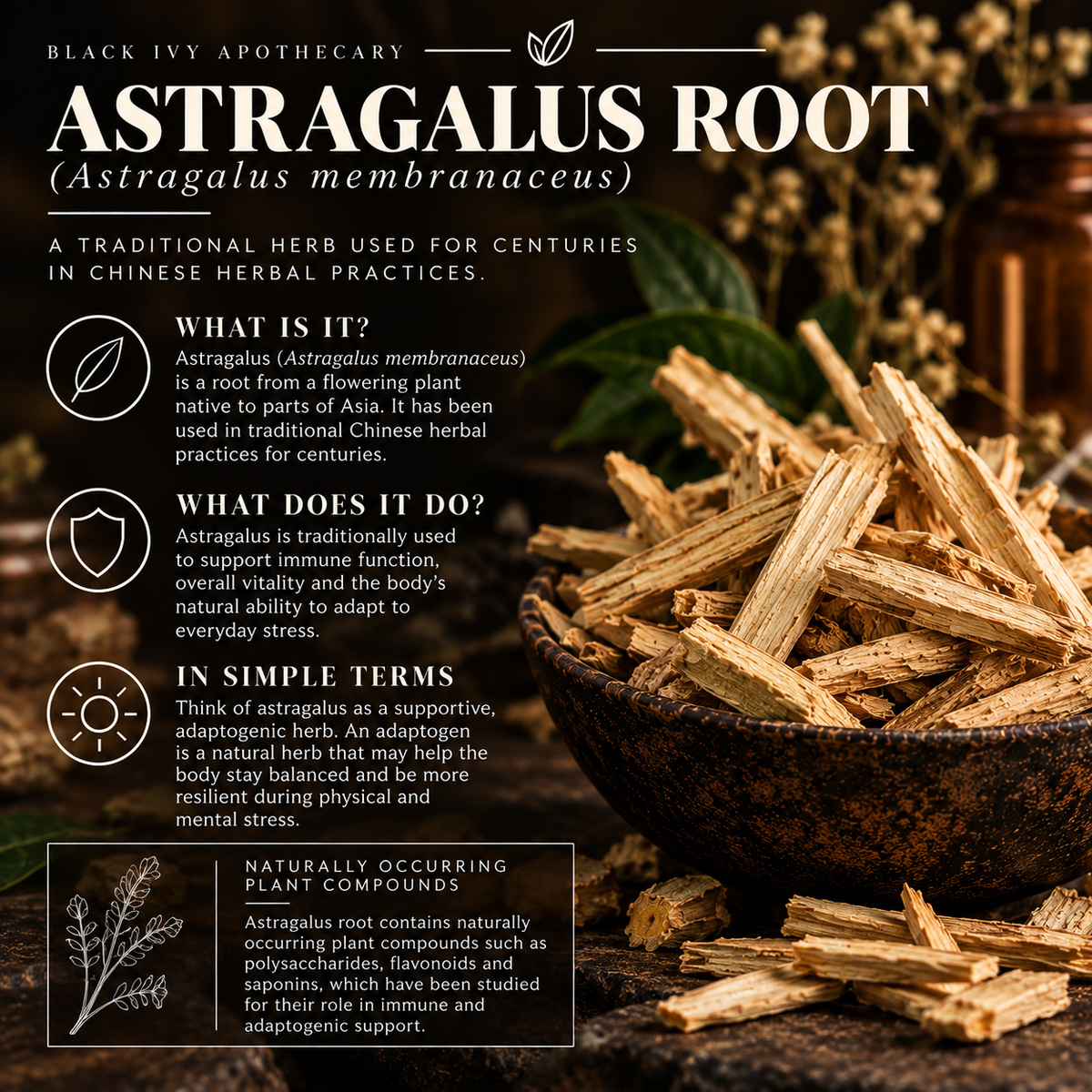 Astragalus root (Astragalus membranaceus) with information about immune support, adaptogenic properties and plant compounds in Black Ivy Apothecary Soursop Tincture.